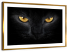 Yellow Eyed Cat Wall Art