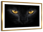 Yellow Eyed Cat Wall Art