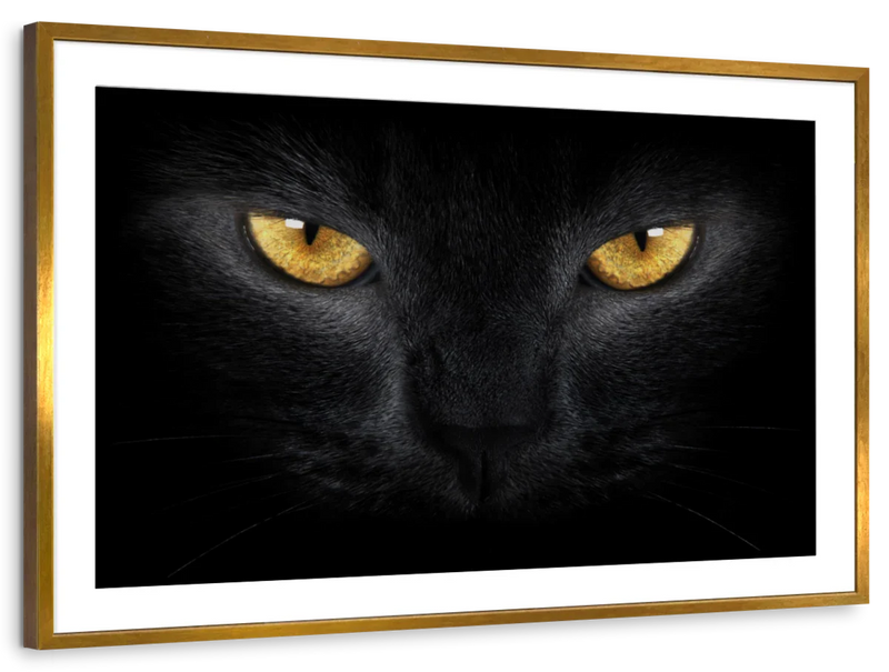 Yellow Eyed Cat Wall Art