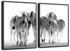 Zebras On The Move Wall Art