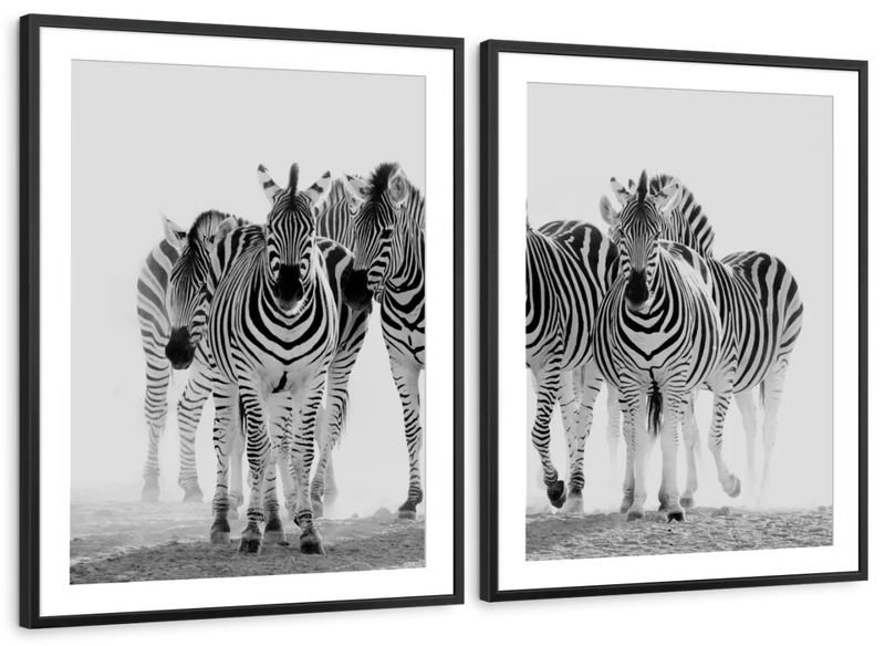 Zebras On The Move Wall Art
