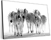 Zebras On The Move Wall Art