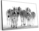 Zebras On The Move Wall Art