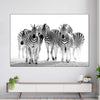 Zebras On The Move Wall Art