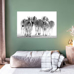 Zebras On The Move Wall Art