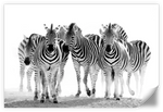 Zebras On The Move Wall Art