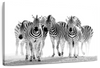 Zebras On The Move Wall Art