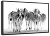 Zebras On The Move Wall Art