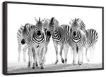 Zebras On The Move Wall Art