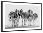 Zebras On The Move Wall Art