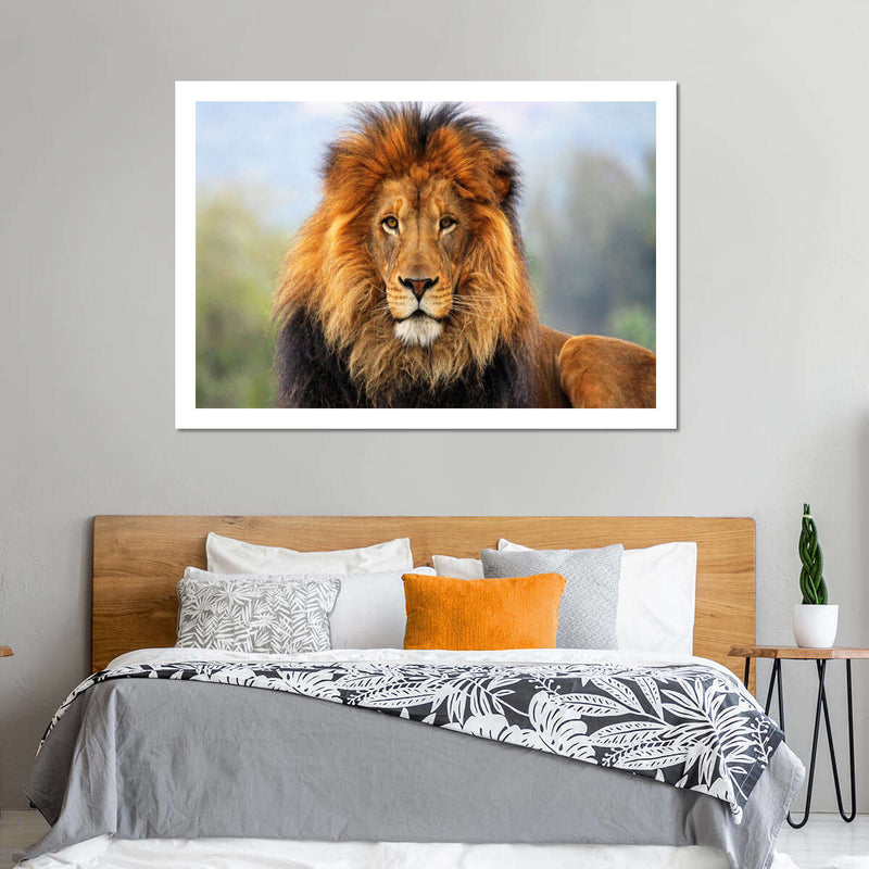 Proud Lion Wall Art