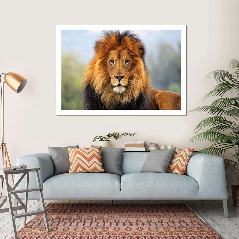 Proud Lion Wall Art