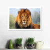 Proud Lion Wall Art