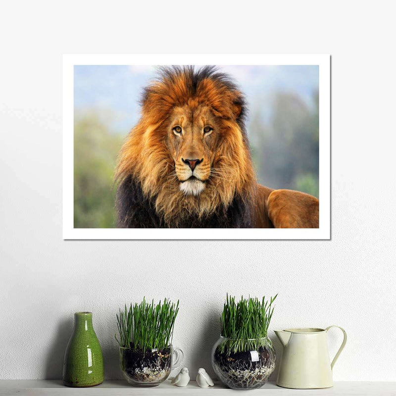 Proud Lion Wall Art