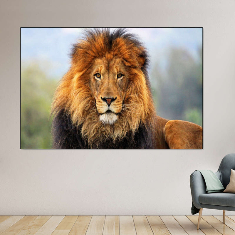 Proud Lion Wall Art