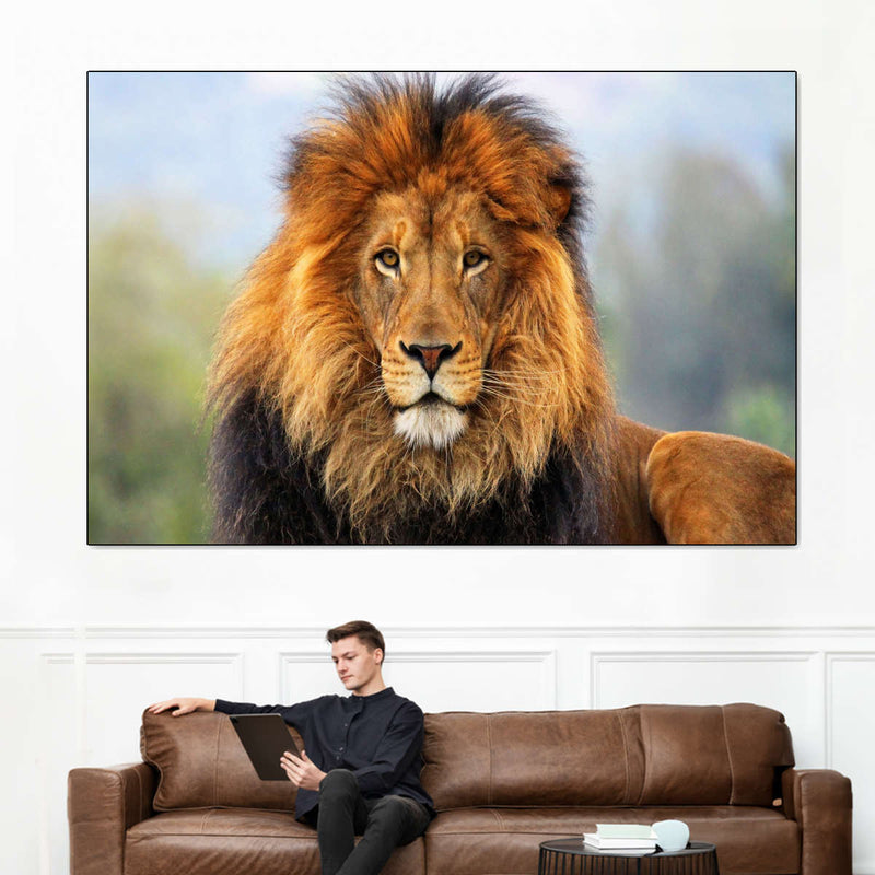 Proud Lion Wall Art