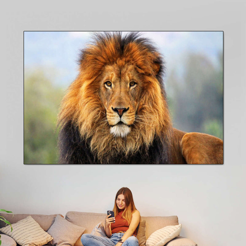 Proud Lion Wall Art