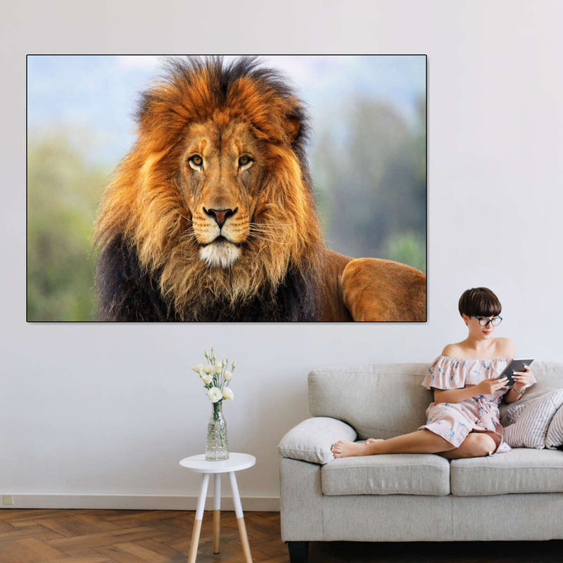 Proud Lion Wall Art
