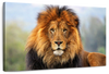 Proud Lion Wall Art