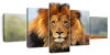 Proud Lion Wall Art