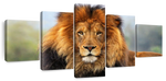 Proud Lion Wall Art