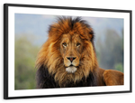 Proud Lion Wall Art