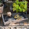 Antique Wood Tray