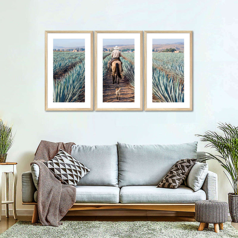 Inspecting Agave Plantation Wall Art