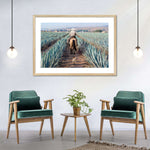 Inspecting Agave Plantation Wall Art