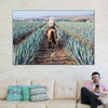 Inspecting Agave Plantation Wall Art