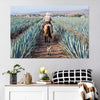 Inspecting Agave Plantation Wall Art