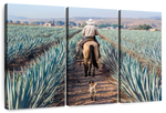 Inspecting Agave Plantation Wall Art