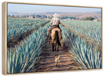 Inspecting Agave Plantation Wall Art