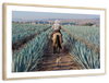 Inspecting Agave Plantation Wall Art