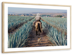 Inspecting Agave Plantation Wall Art
