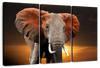Kenyan Elephant Wall Art