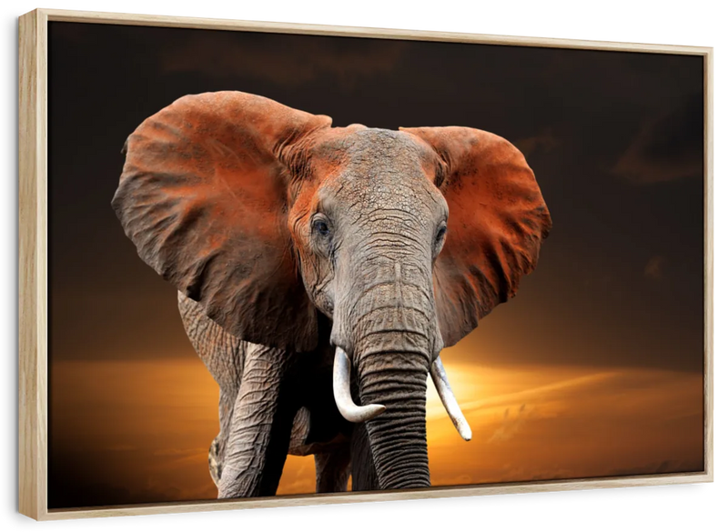 Kenyan Elephant Wall Art