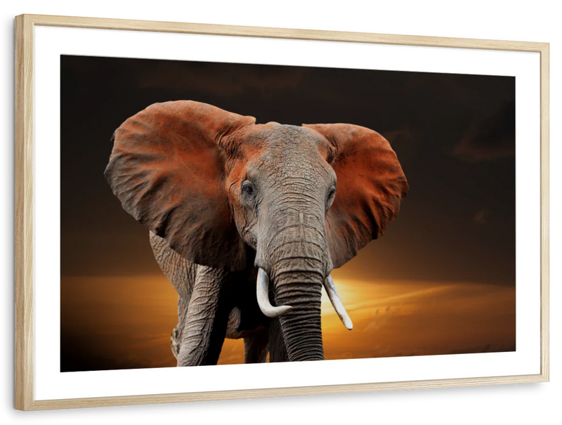 Kenyan Elephant Wall Art