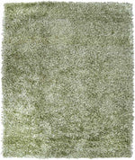Anderson Modern Light Green Area Rug