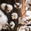 Artificial Cotton Stem Faux