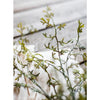 Artificial Faux Dancing Grass Stem 25" Tall
