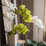 Artificial Flower Real Touch Orchid Plant in Green and White