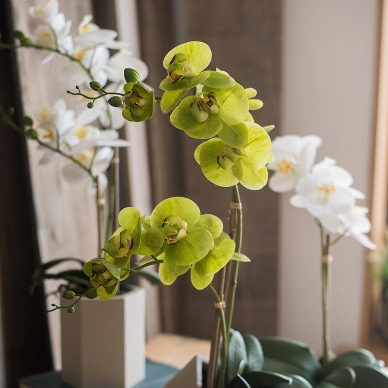 Artificial Flower Real Touch Orchid Plant in Green and White