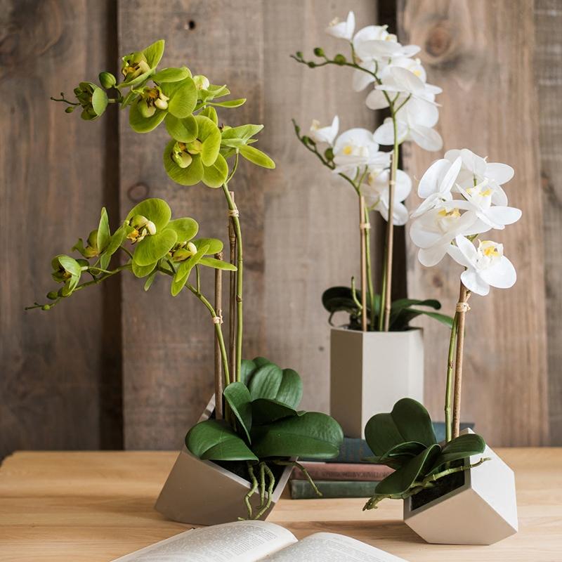Artificial Flower Real Touch Orchid Plant in Green and White