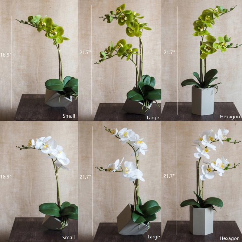 Artificial Flower Real Touch Orchid Plant in Green and White