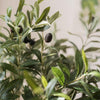 Artificial Fruit Faux Olive Stem 28" Tall