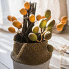 Artificial Fruit Pipa Fruit Stem 26" Tall Silk Plant