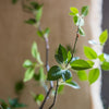 Artificial Green Leaf Faux Tree In Pot