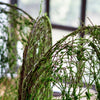 Artificial Faux Moss Screen Panel