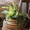 Artificial Faux Plant Big Rock Fern Stem 22" Tall